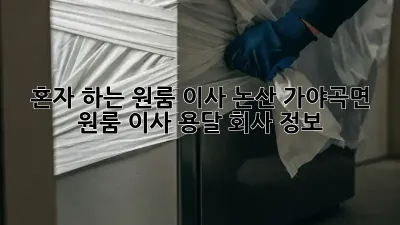 혼자 하는 원룸 이사? 논산 가야곡면 원룸 이사 용달 회사 정보!